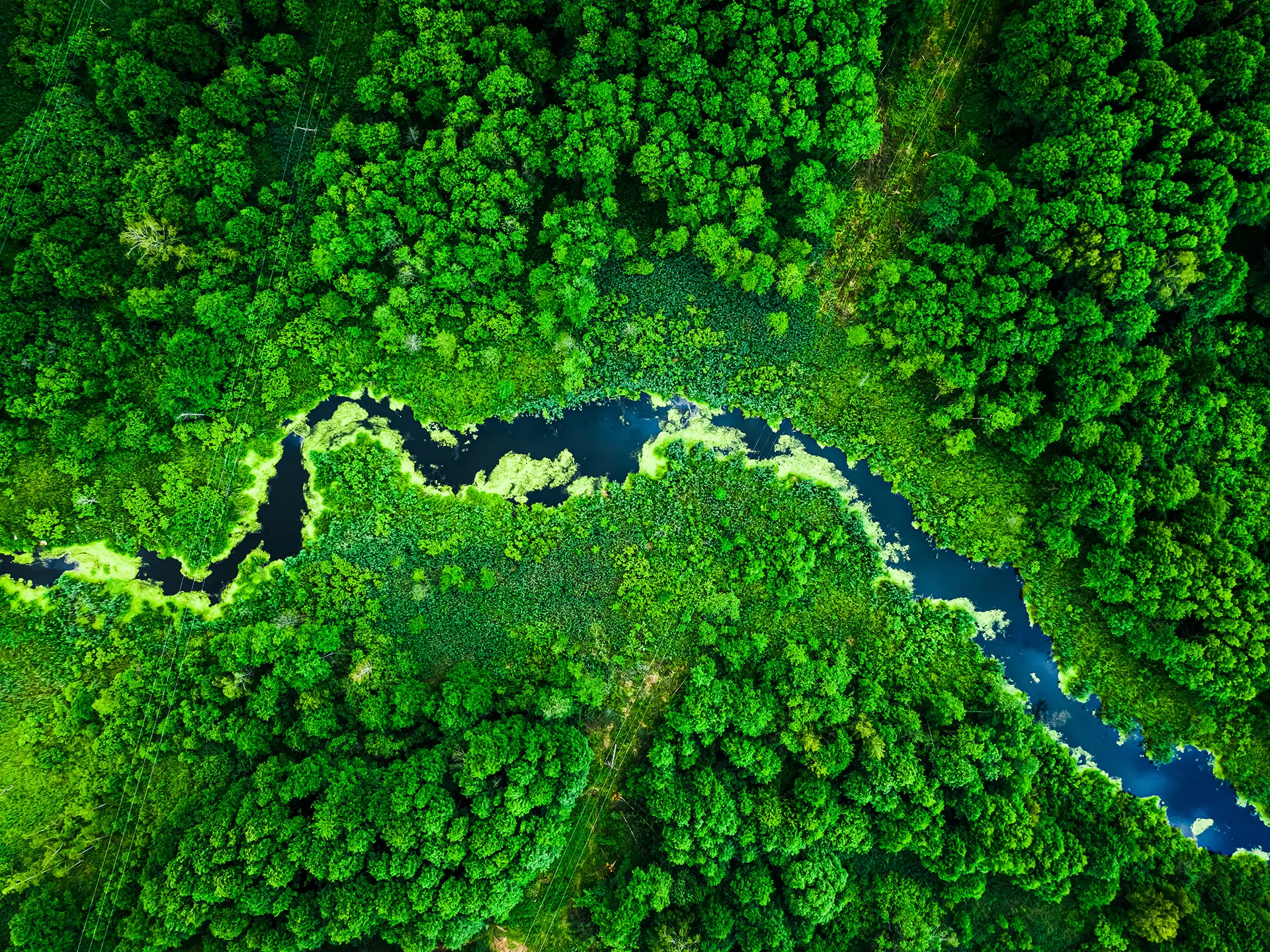 Aerial view of a narrow, dark river curving through bright green tropical forest.