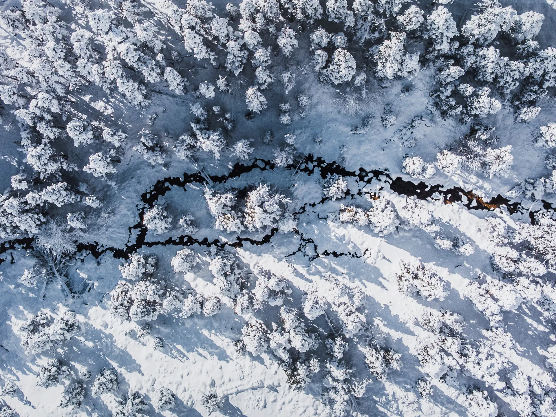 Aerial view of a snow-covered forest with a dark, winding stream cutting through the white landscape and long tree shadows.