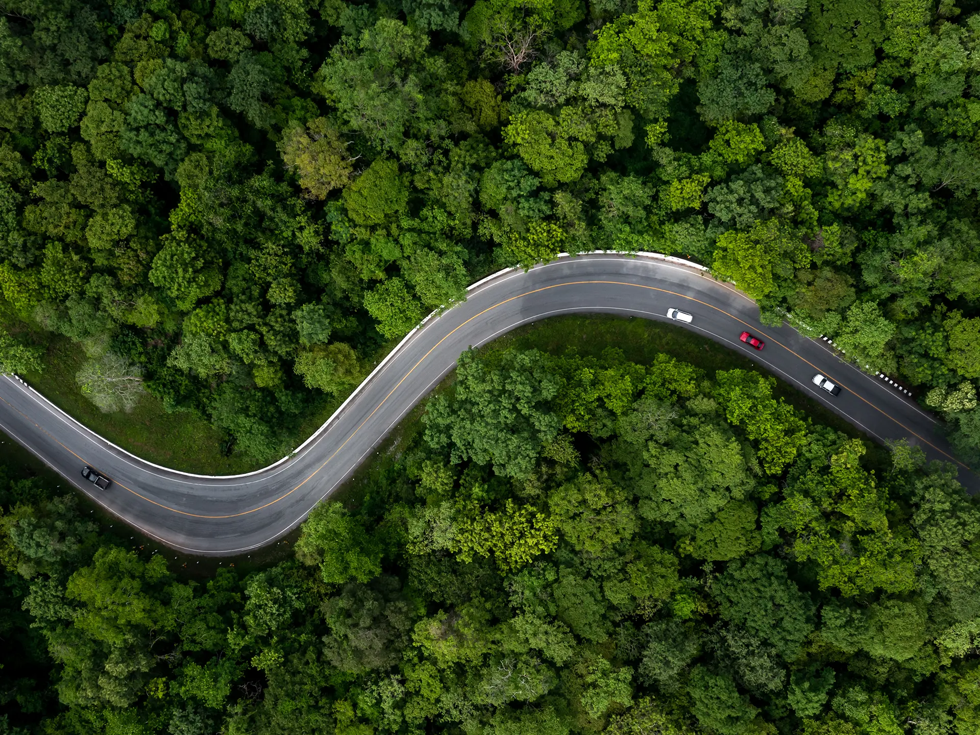 Aerial view of a curved, winding road cutting through dense green forest, with a few cars traveling along it.
