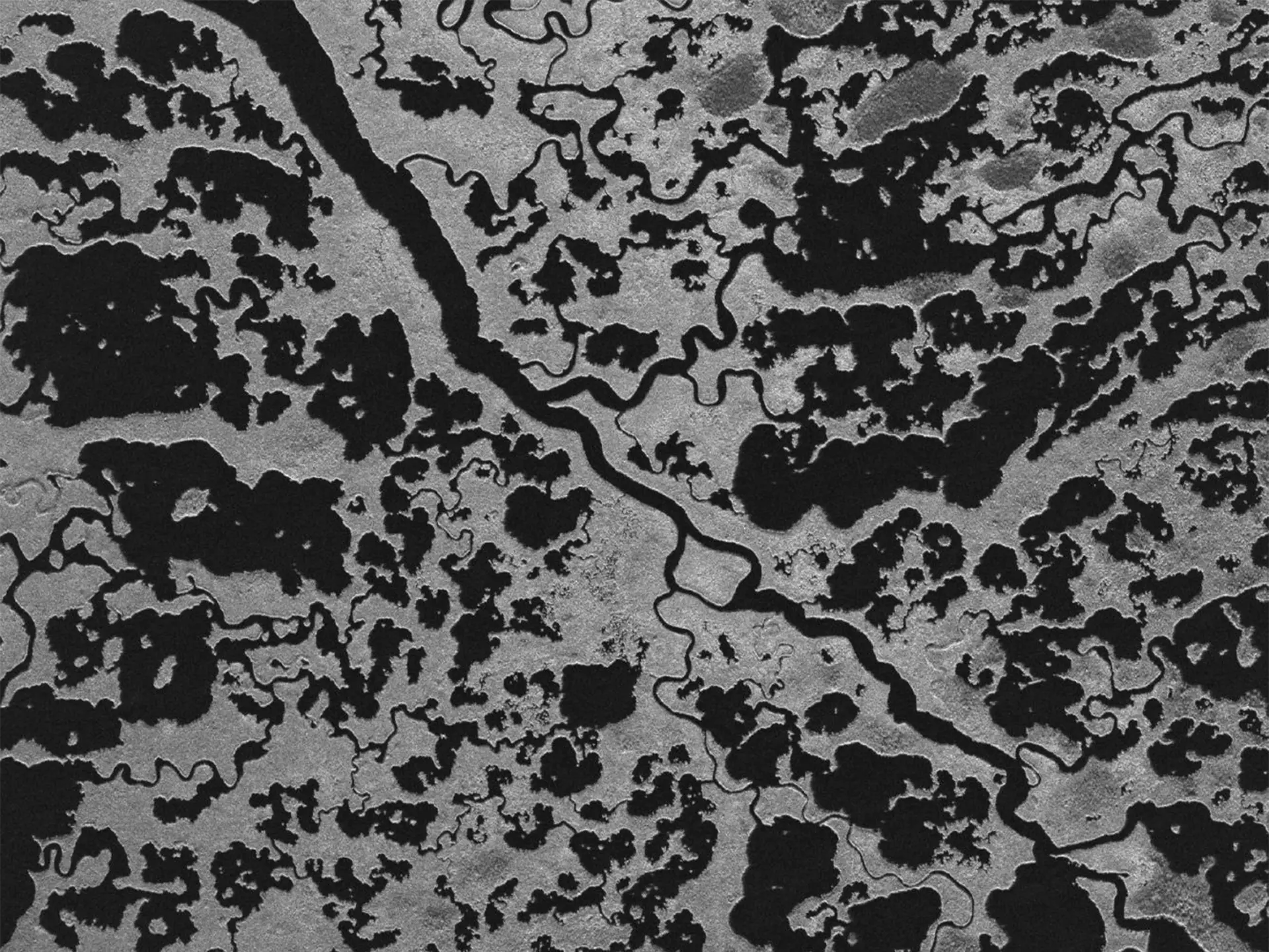 Black-and-white satellite radar image capturing the intricate network of winding waterways and marshland patterns in the Florida Everglades.